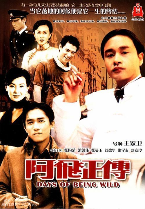 普及桑大学在读证明办理